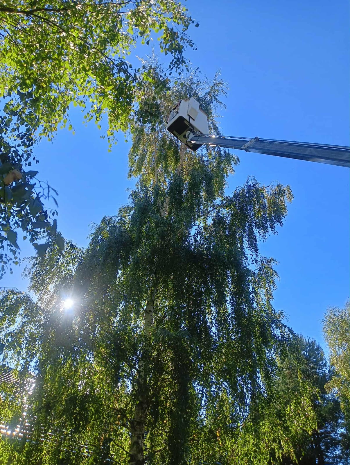 WhatsApp Image 2025-10-29 at 17.56.02