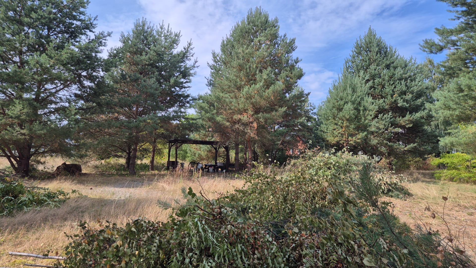 WhatsApp Image 2025-10-29 at 18.29.41