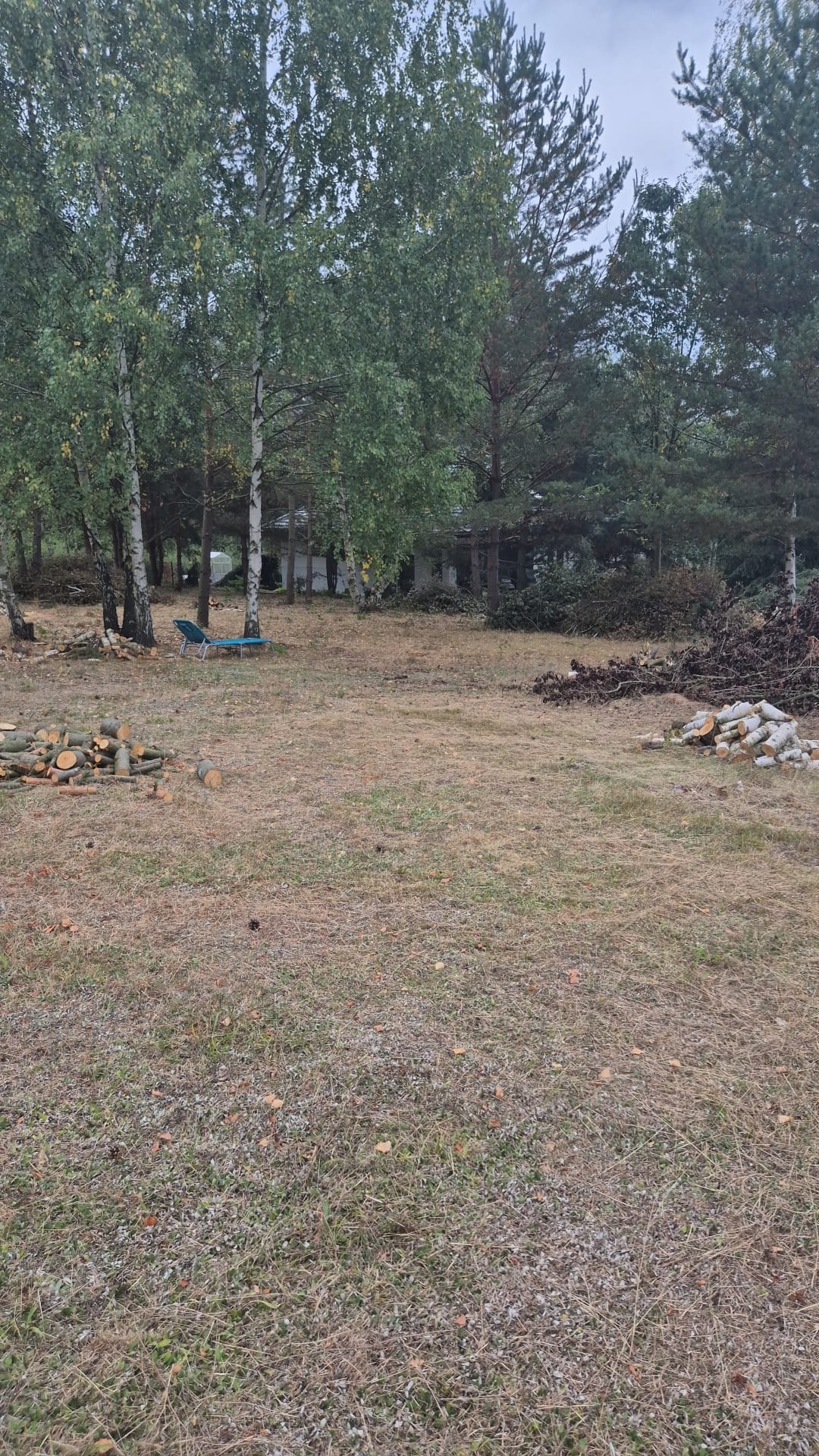 WhatsApp Image 2025-10-29 at 18.29.42