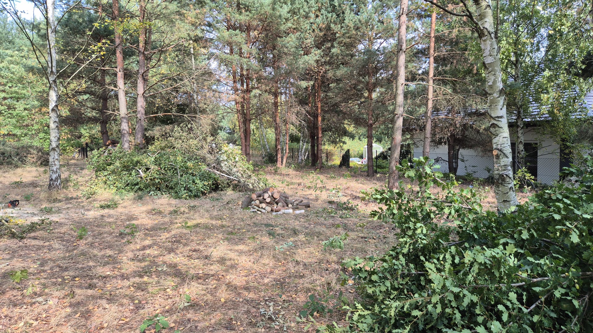 WhatsApp Image 2025-10-29 at 18.30.43