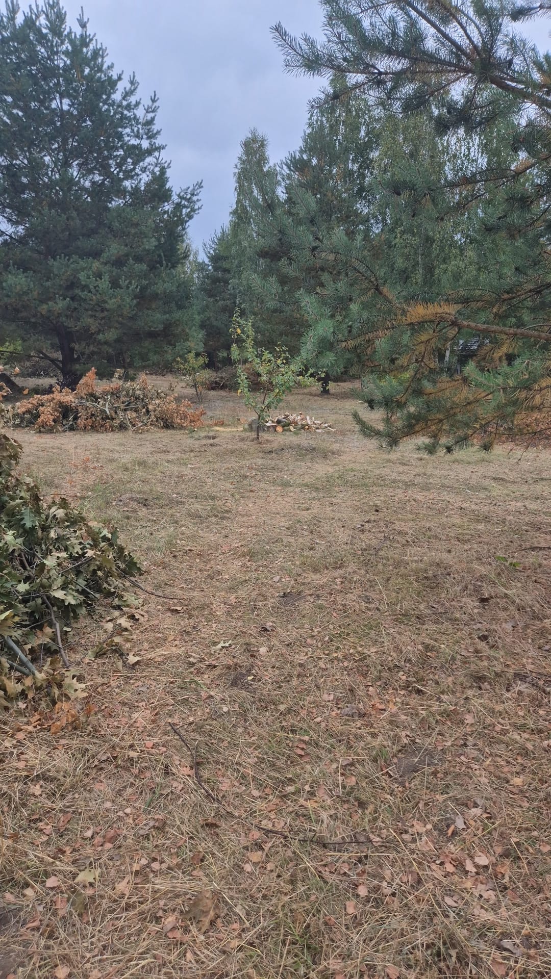 WhatsApp Image 2025-10-29 at 18.31.11