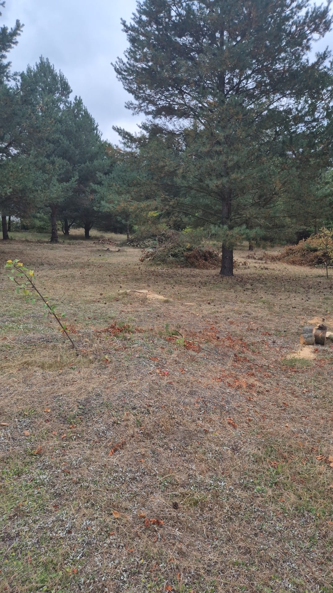 WhatsApp Image 2025-10-29 at 18.31.14