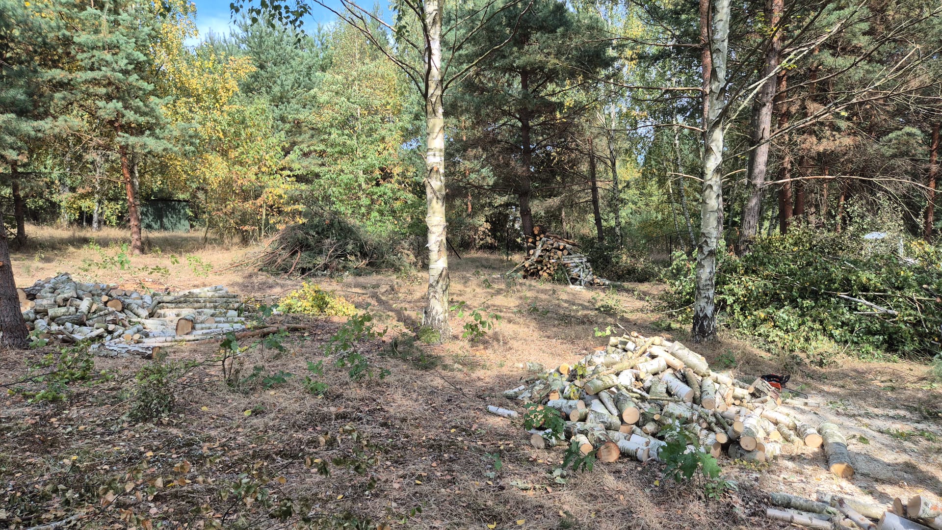 WhatsApp Image 2025-10-29 at 18.32.38