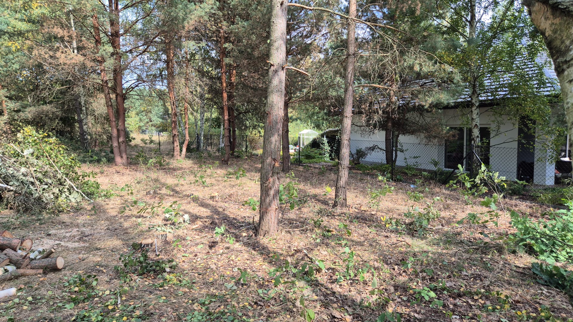 WhatsApp Image 2025-10-29 at 18.33.51