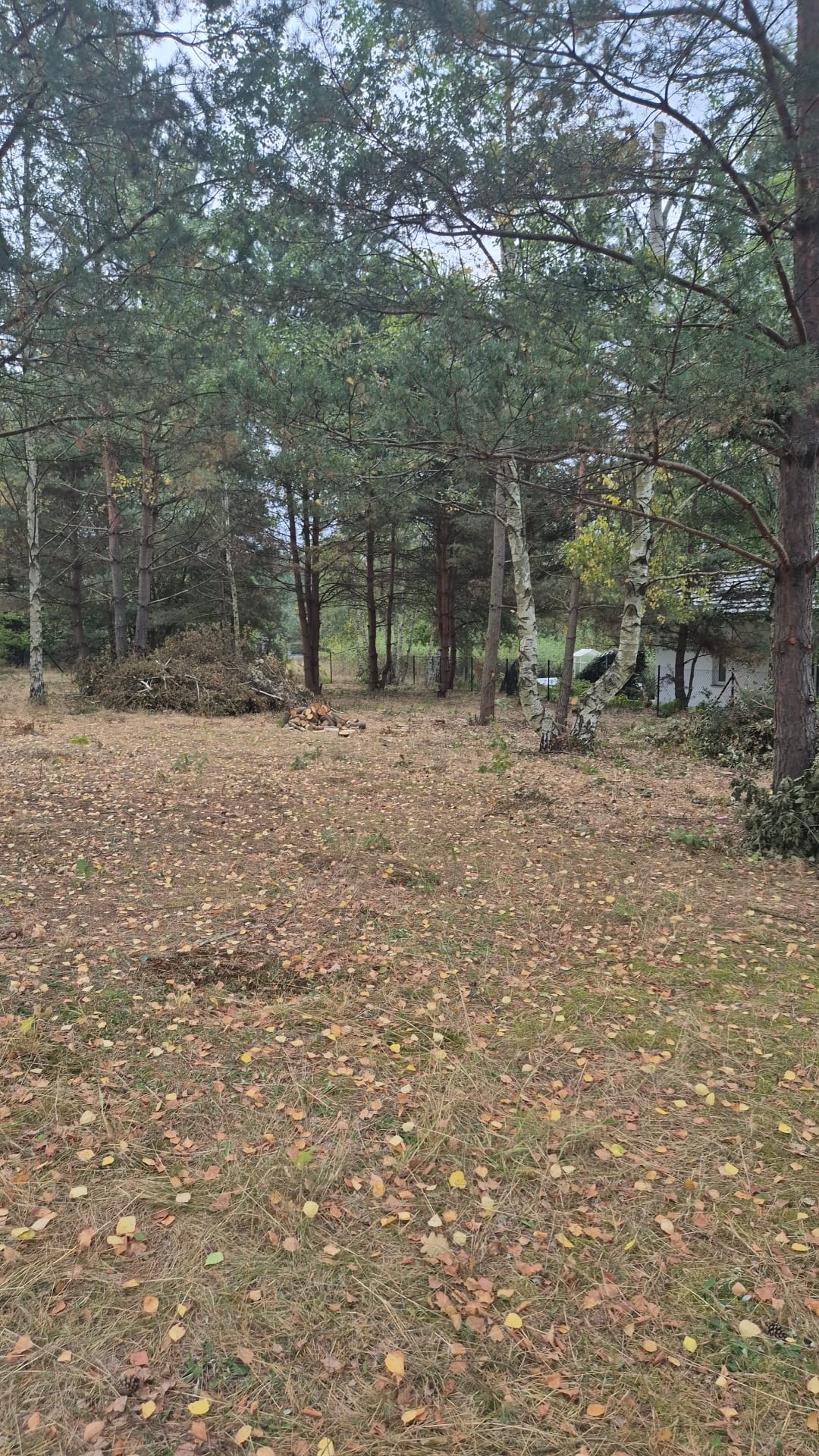 WhatsApp Image 2025-10-29 at 18.34.02