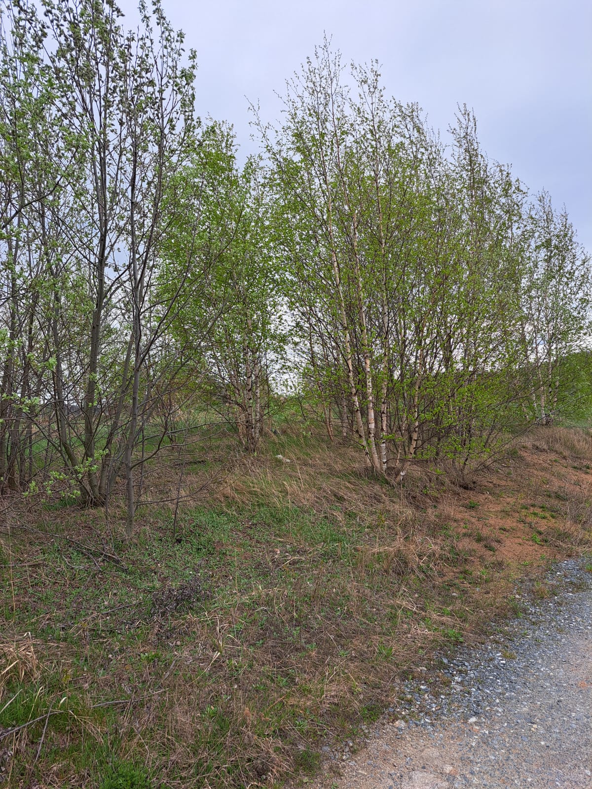 WhatsApp Image 2025-10-29 at 18.45.17