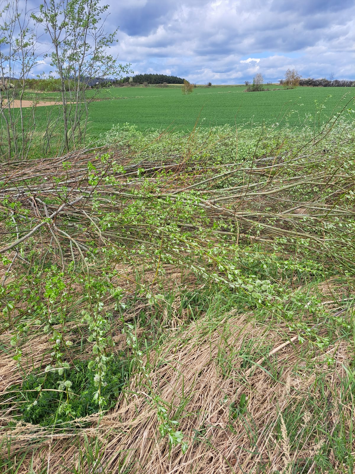 WhatsApp Image 2025-10-29 at 18.45.19