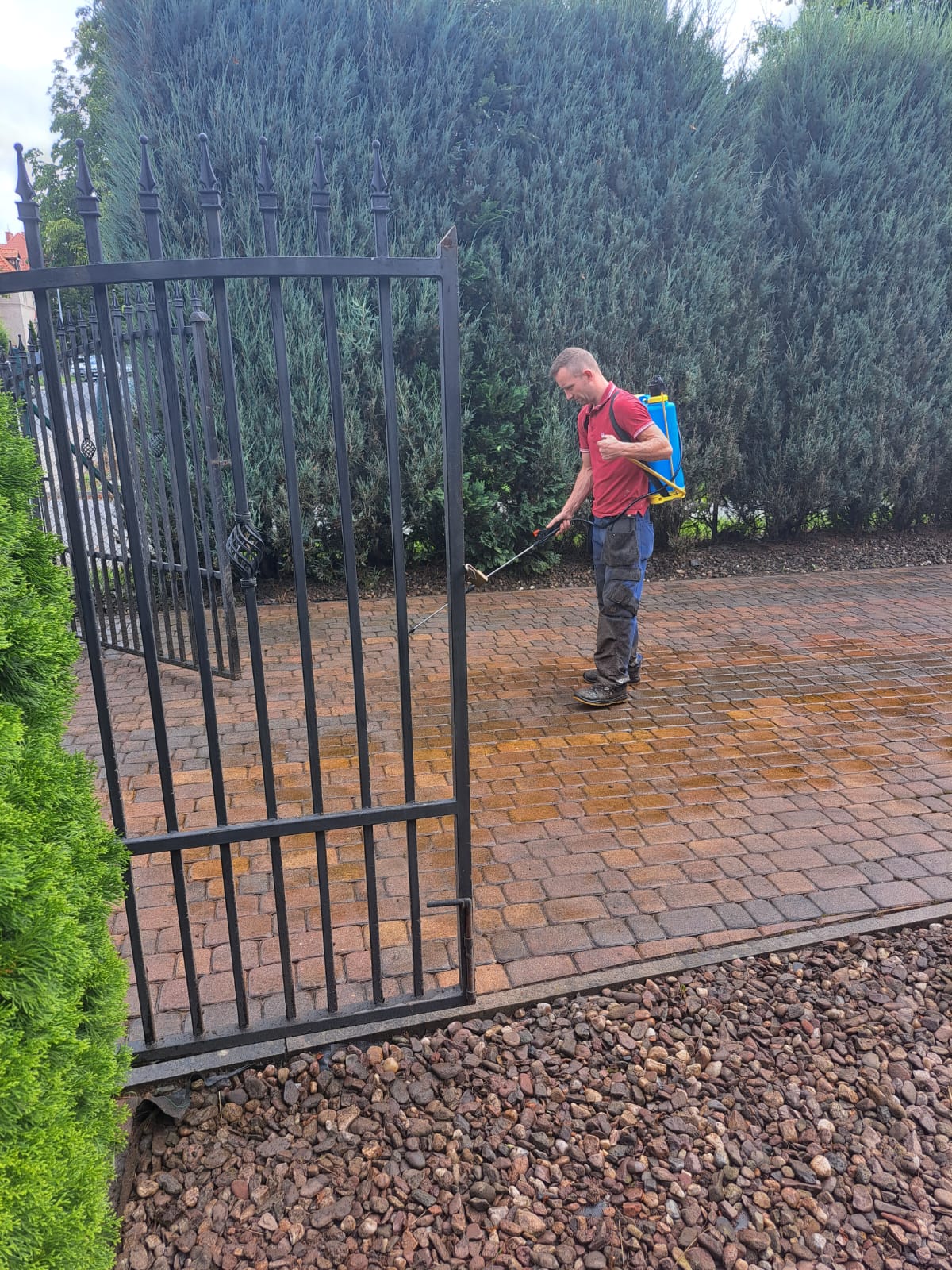 WhatsApp Image 2025-10-29 at 18.45.23 (1)