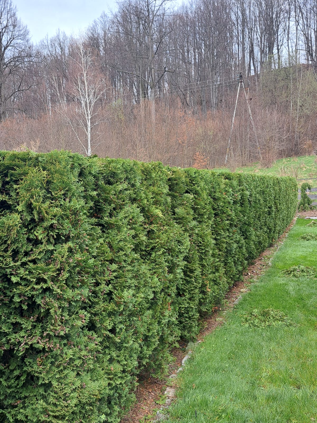 WhatsApp Image 2025-10-29 at 18.45.23