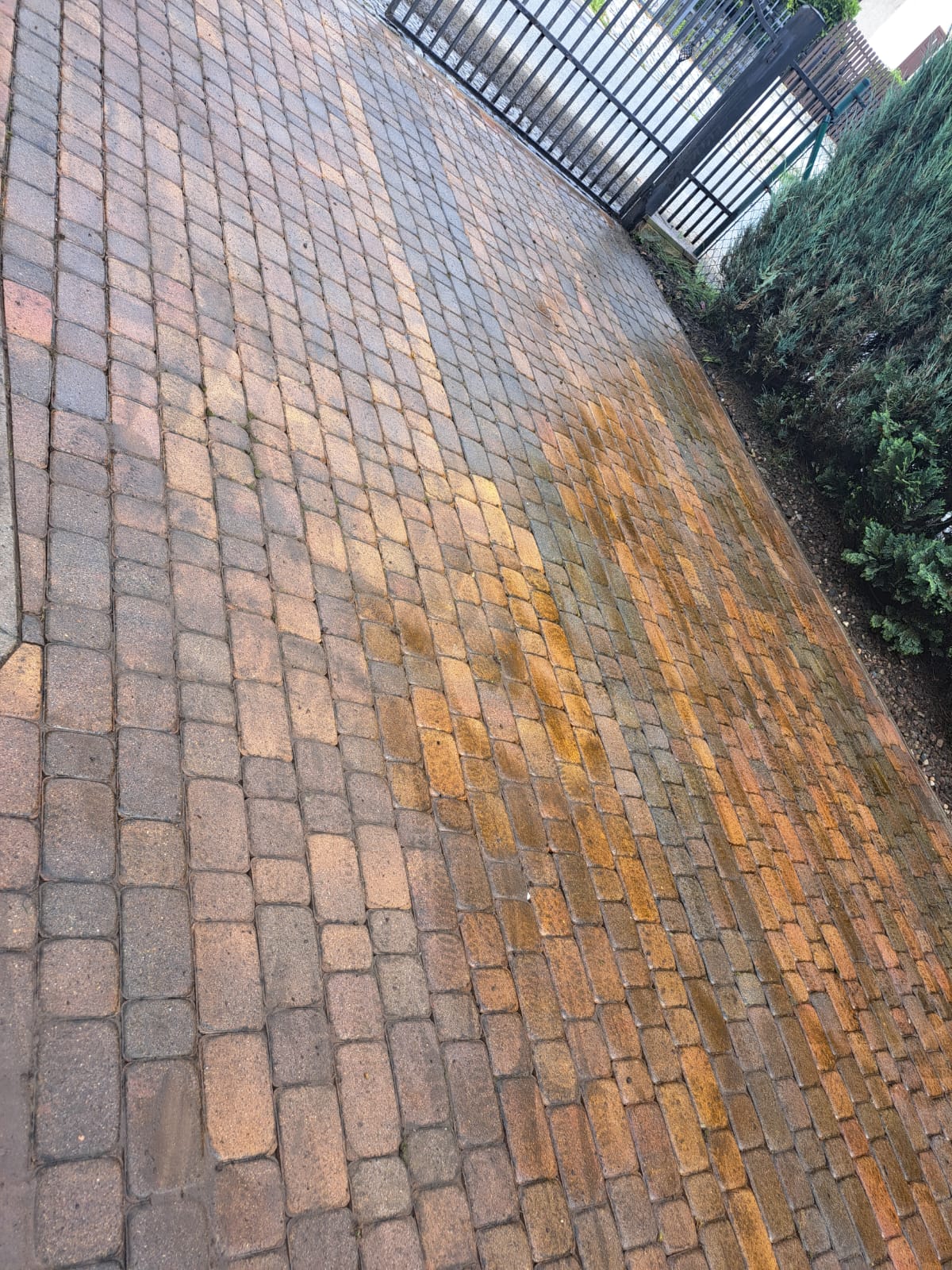 WhatsApp Image 2025-10-29 at 18.45.24