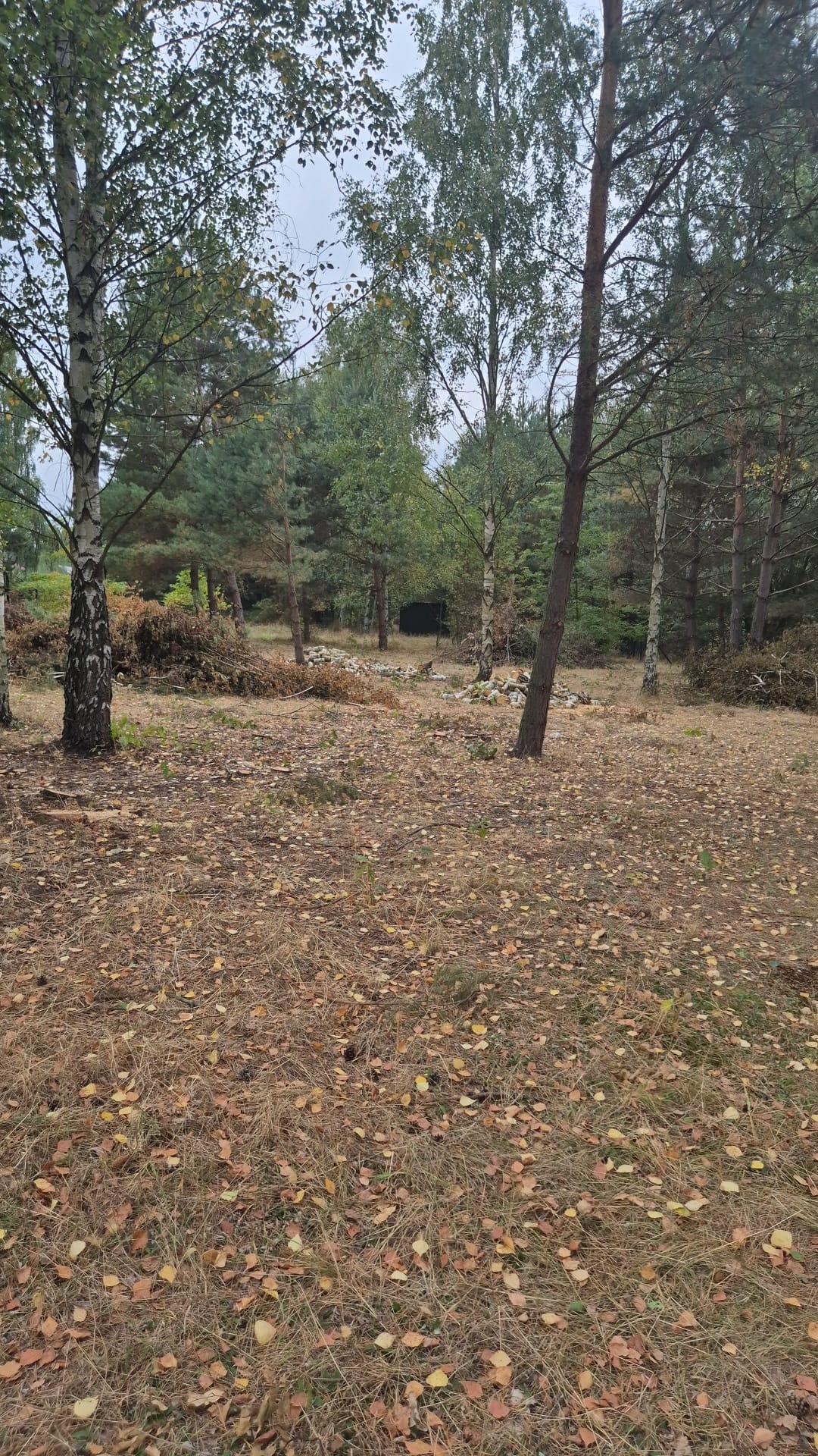 WhatsApp Image 2025-10-29 at 18.45.35