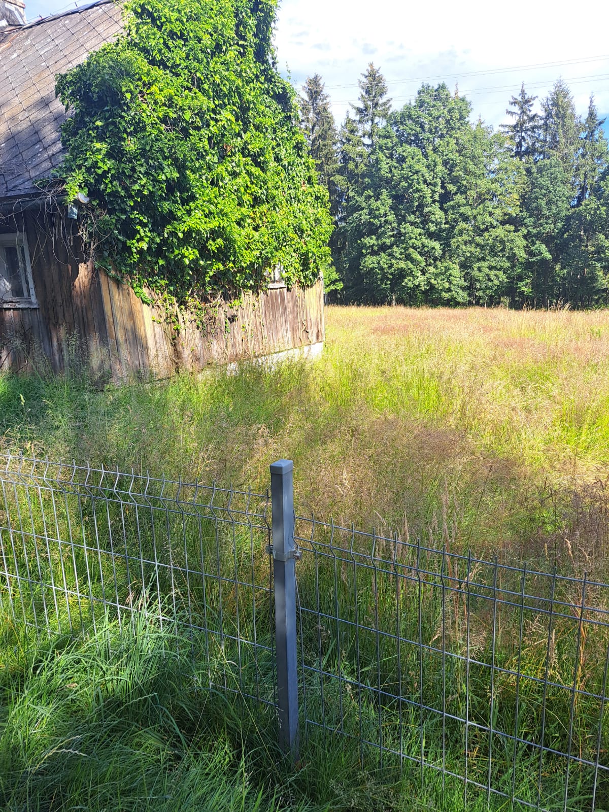 WhatsApp Image 2025-10-29 at 18.50.12