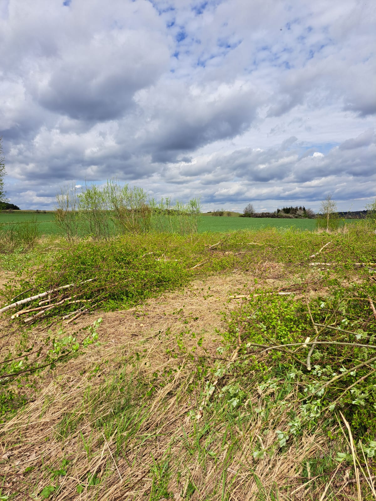 karczowanie działek budowlanych JackRola kłodzko