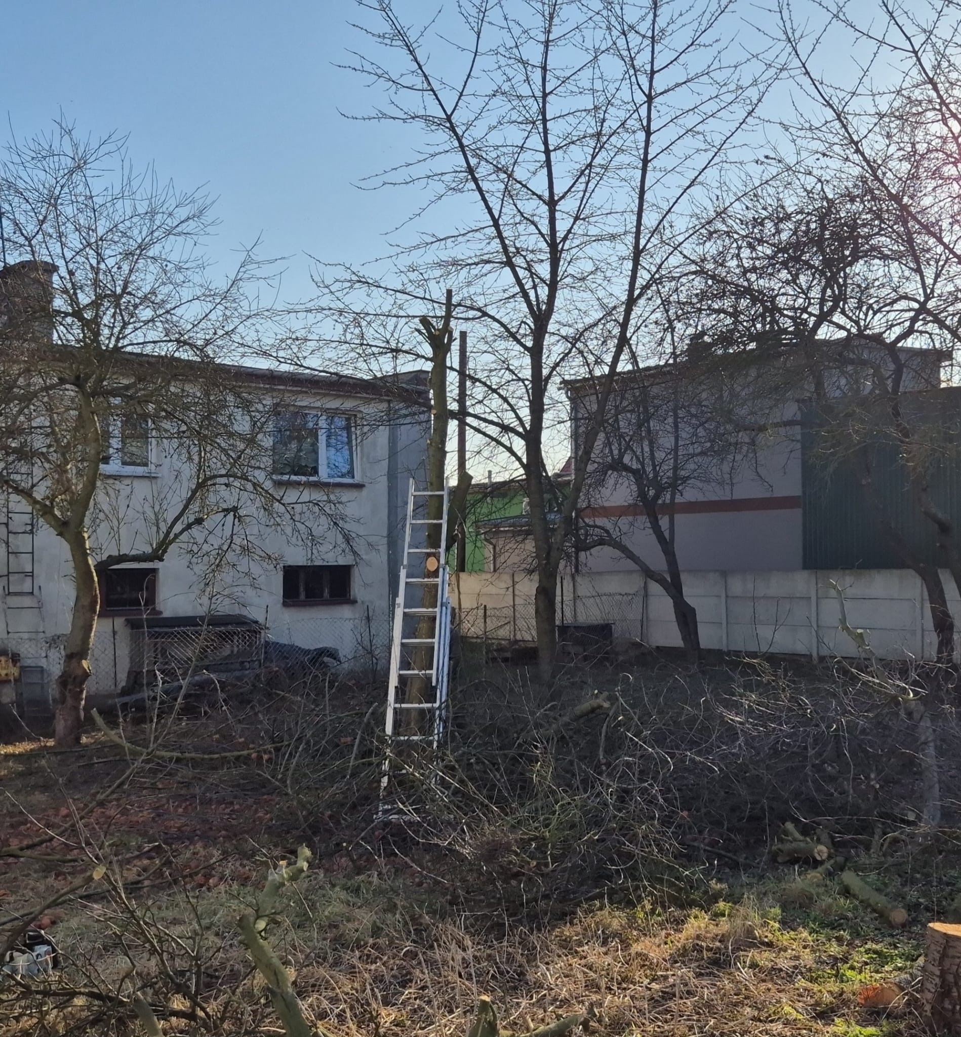 WhatsApp Image 2026-03-10 at 09.45.16