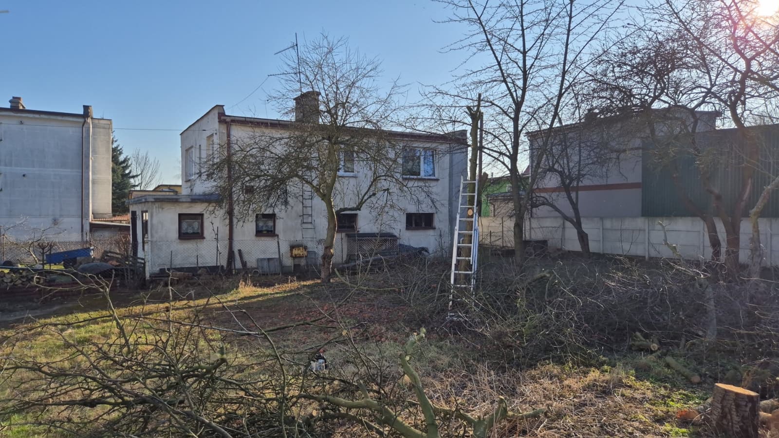 WhatsApp Image 2026-03-10 at 09.45.17