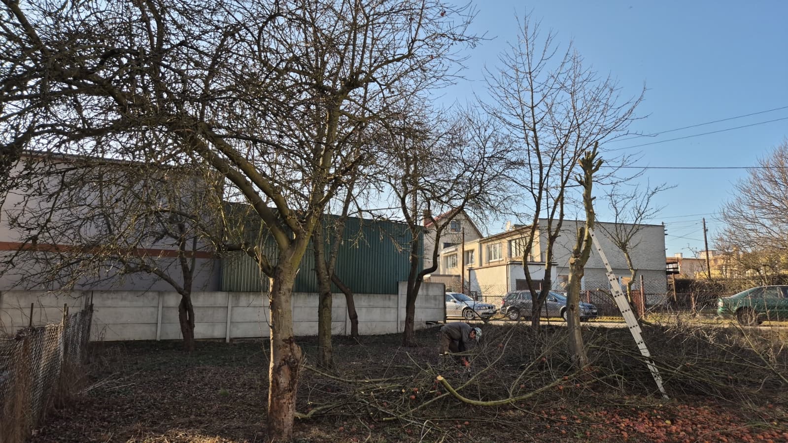 WhatsApp Image 2026-03-10 at 09.45.18