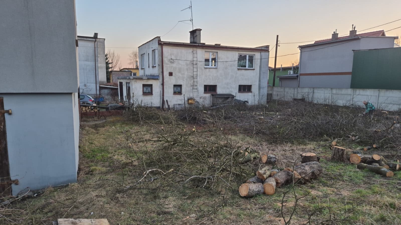 WhatsApp Image 2026-03-10 at 09.45.19