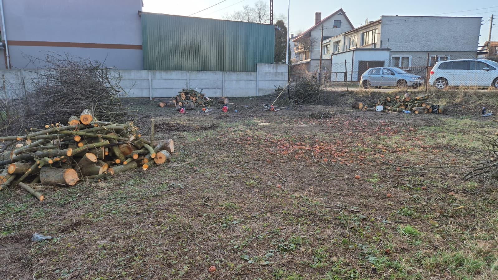 WhatsApp Image 2026-03-10 at 09.45.21