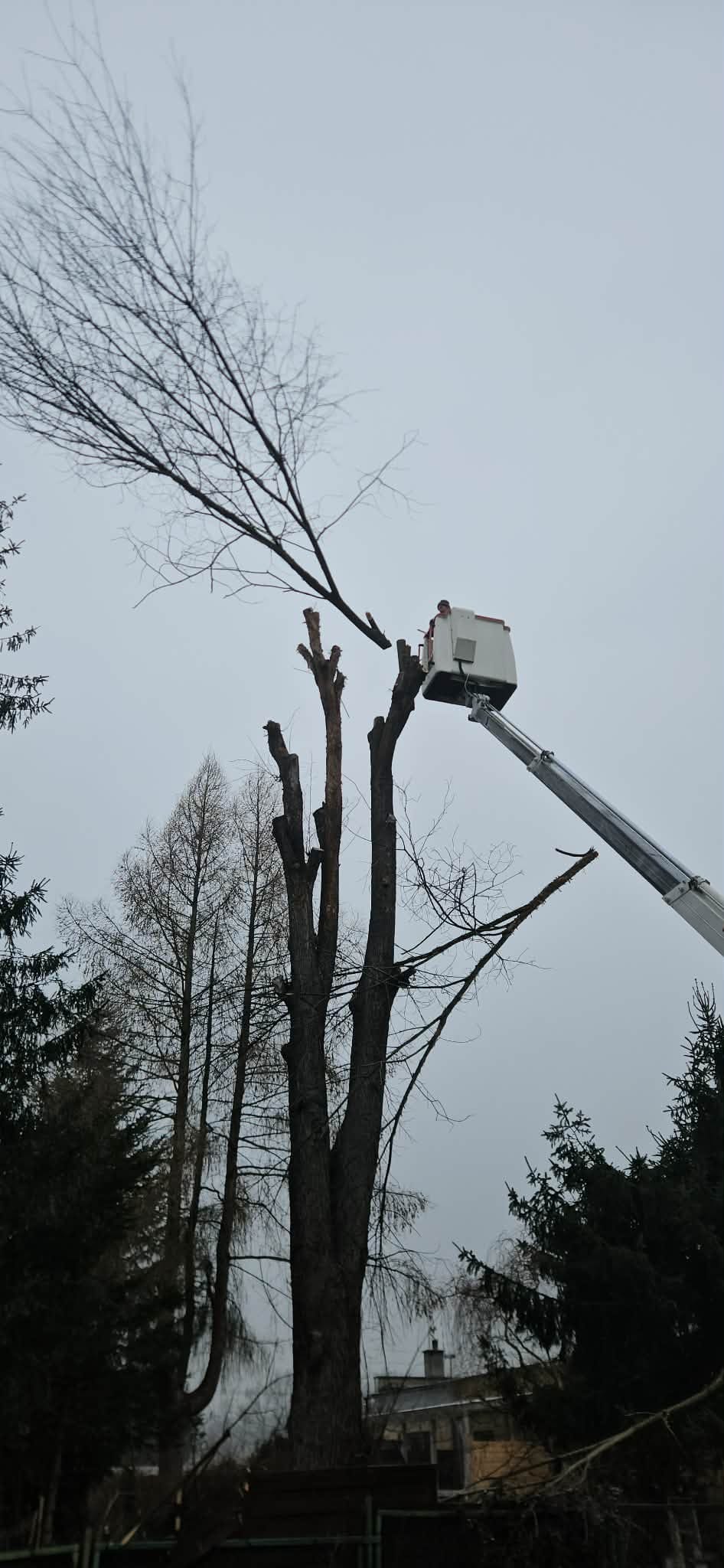 WhatsApp Image 2026-03-10 at 09.45.55