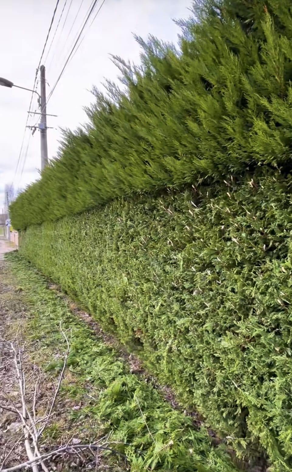 WhatsApp Image 2026-03-10 at 09.46.30