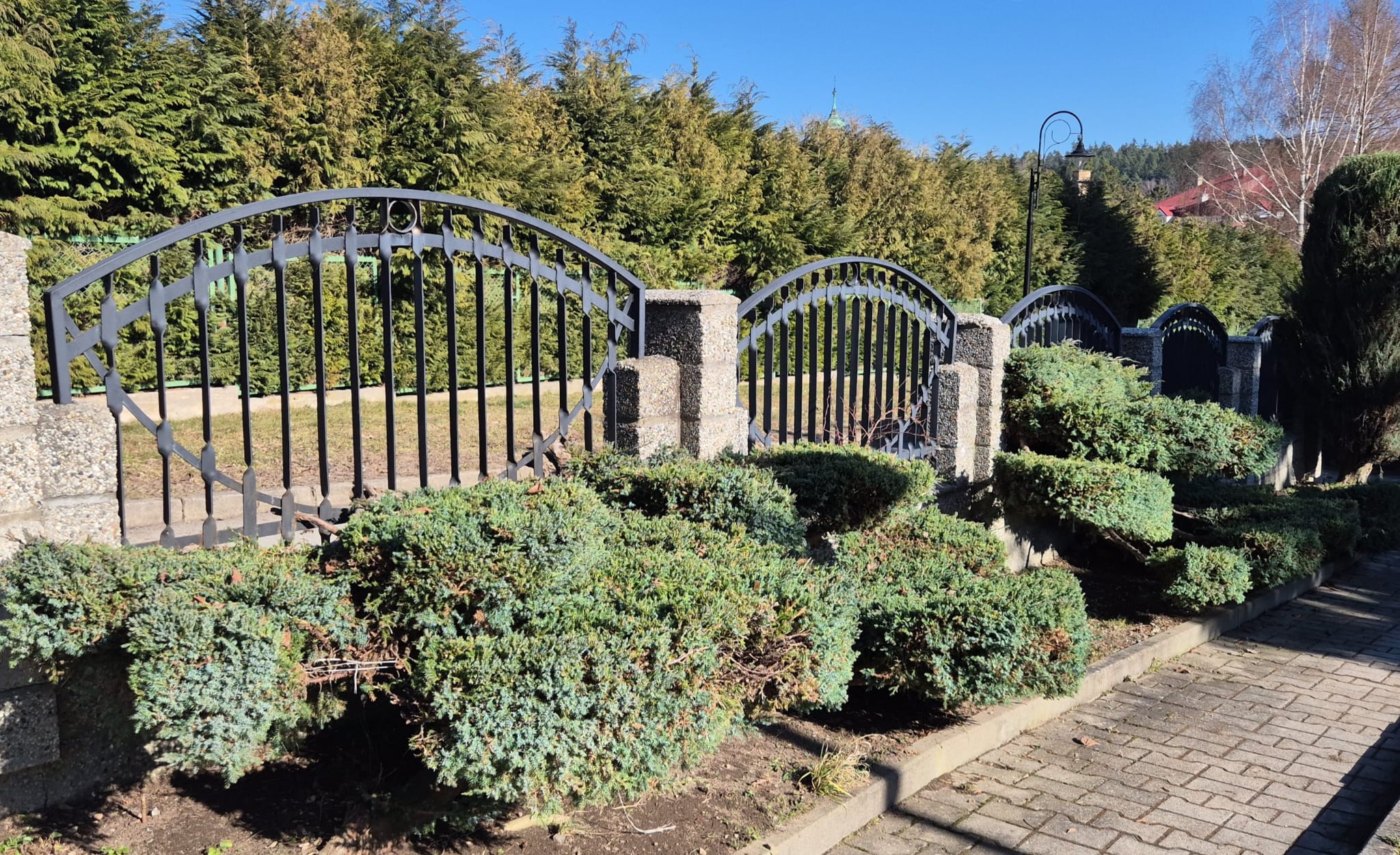 WhatsApp Image 2026-03-10 at 09.46.32