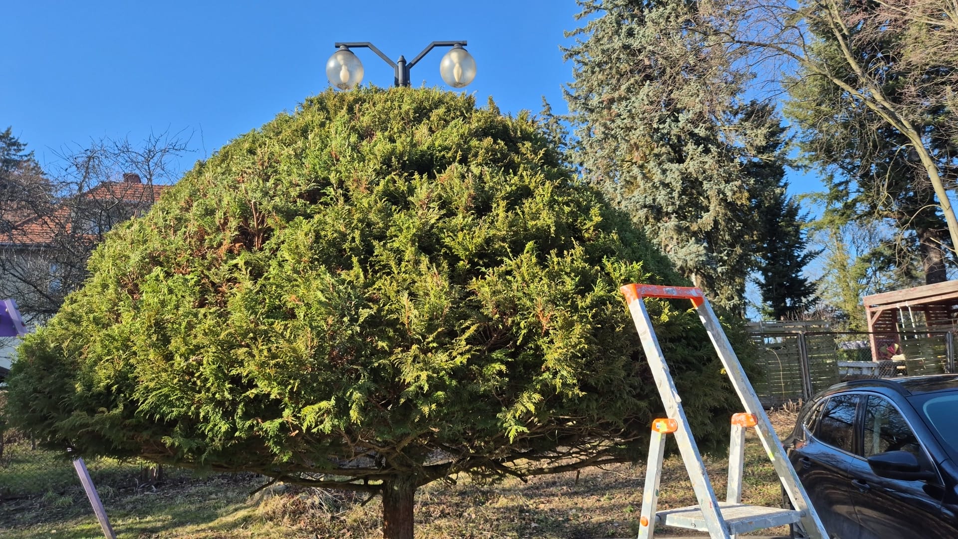 WhatsApp Image 2026-03-10 at 09.46.35